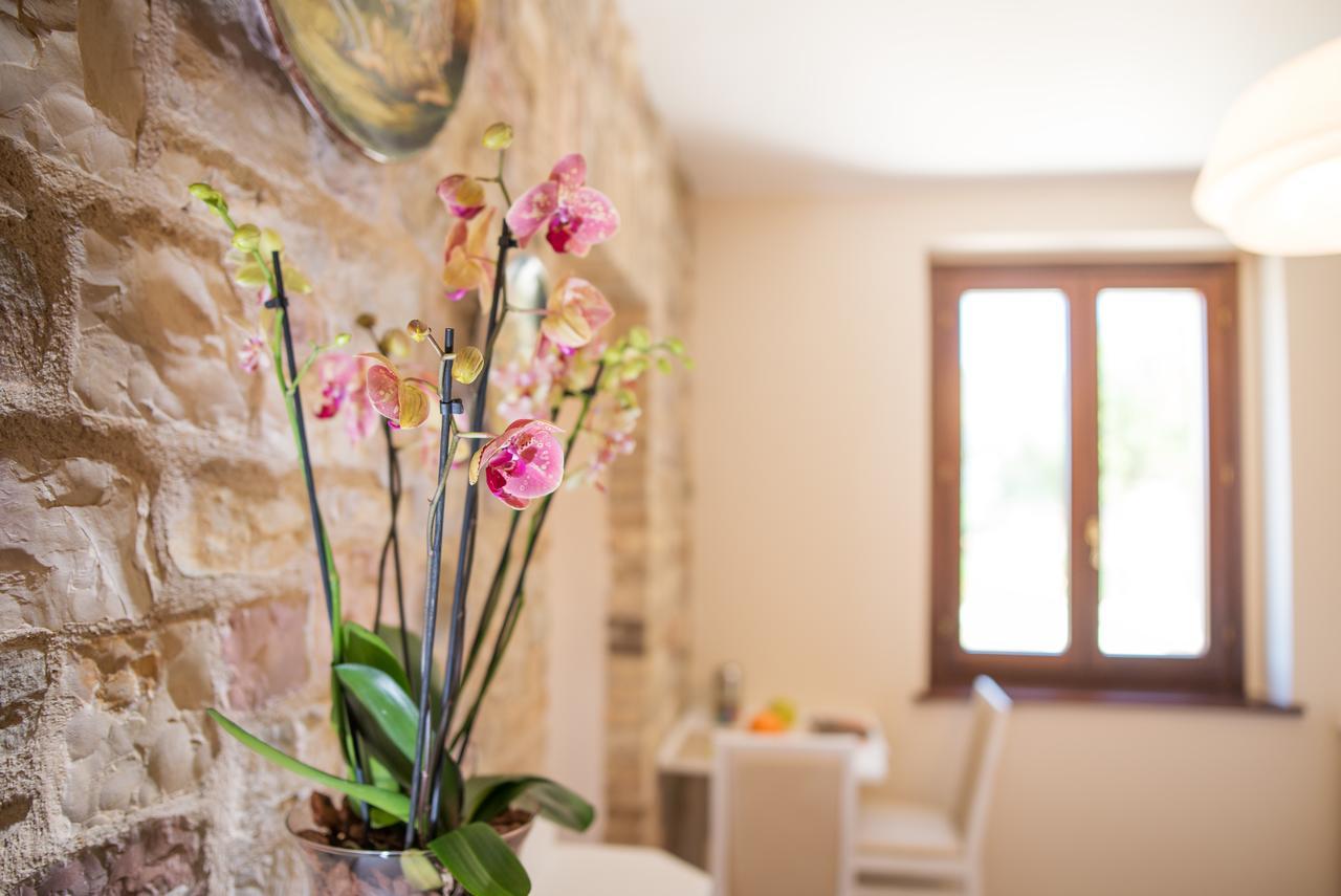 La Dimora Di Francesco Bed & Breakfast Assisi Exterior photo